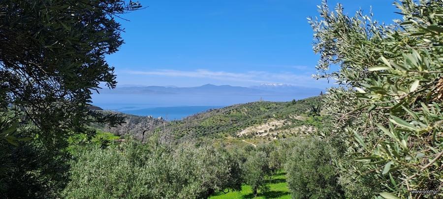 Οικόπεδο 4.850 τ.μ. προς πώληση, Κέντρο Λίμνης