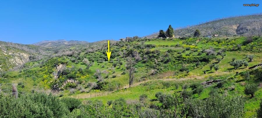 Οικόπεδο 4.850 τ.μ. προς πώληση, Κέντρο Λίμνης