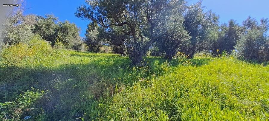 Οικόπεδο 4.850 τ.μ. προς πώληση, Κέντρο Λίμνης