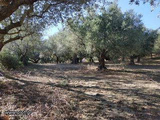 Οικόπεδο 5.800 τ.μ. για πώληση, Μεσσηνία, Γαργαλιάνοι-thumb-1