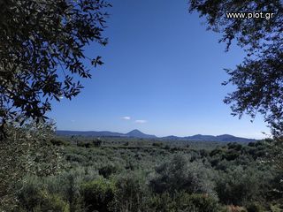 Οικόπεδο 5.800 τ.μ. για πώληση, Μεσσηνία, Γαργαλιάνοι-thumb-6