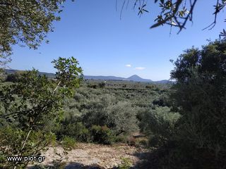 Οικόπεδο 5.800 τ.μ. για πώληση, Μεσσηνία, Γαργαλιάνοι-thumb-7