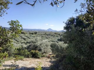 Οικόπεδο 5.800 τ.μ. για πώληση, Μεσσηνία, Γαργαλιάνοι-thumb-8