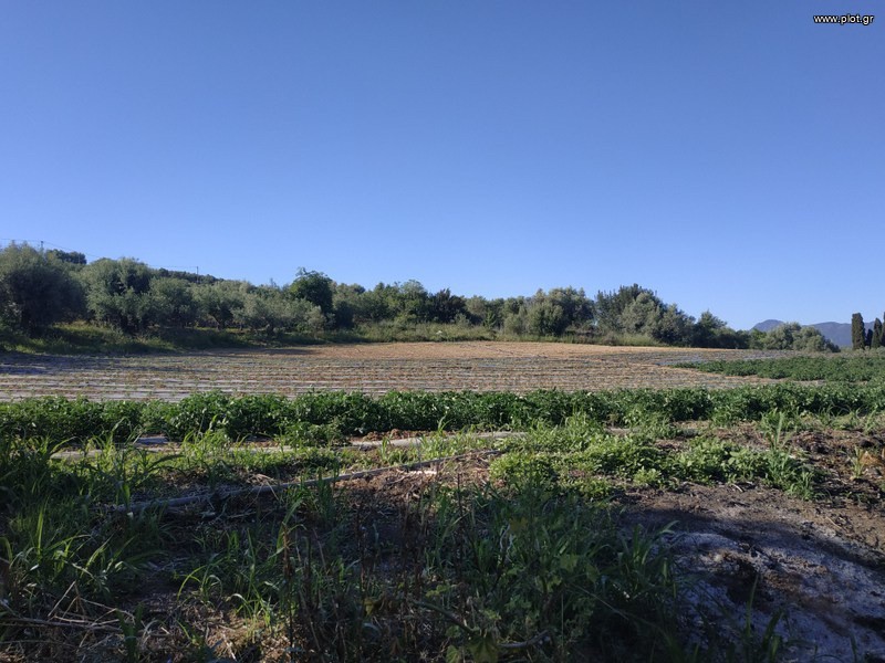 Αγροτεμάχια 7.000 τ.μ. προς πώληση, Τραγάνα Γαργαλιάνων
