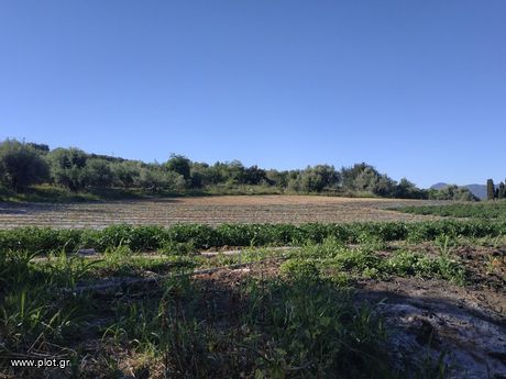 Αγροτεμάχια 7.000τ.μ. για πώληση-Γαργαλιάνοι » Τραγάνα