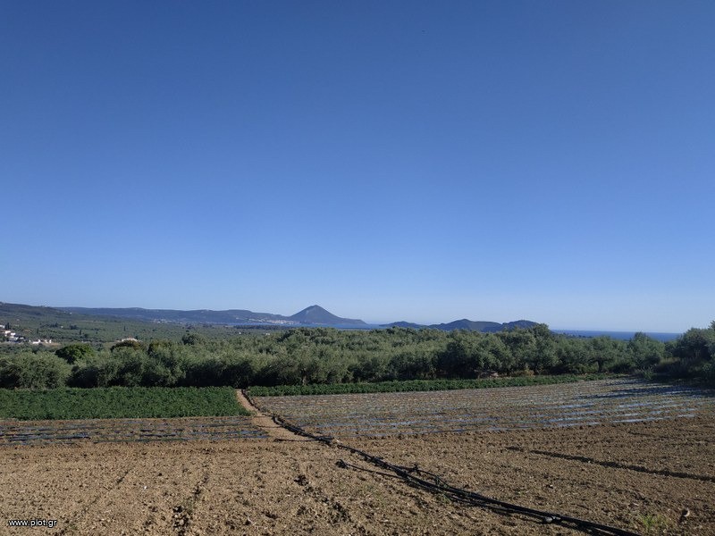 Αγροτεμάχια 7.000 τ.μ. προς πώληση, Τραγάνα Γαργαλιάνων