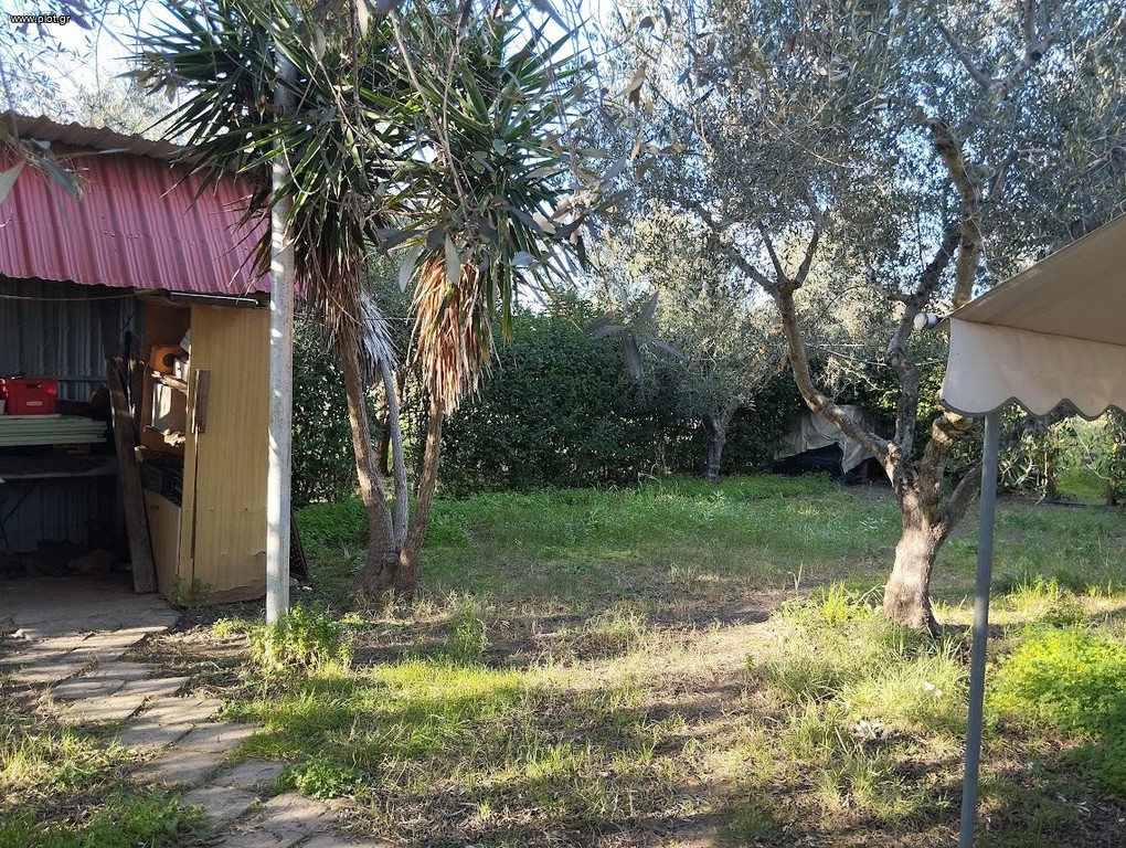 Αγροτεμάχια 7.153 τ.μ. προς πώληση, Πετροχώρι Νέστορα