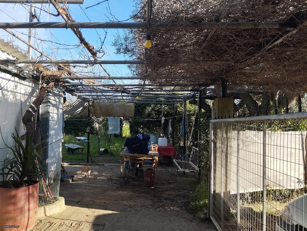 Αγροτεμάχια 7.153 τ.μ. προς πώληση, Πετροχώρι Νέστορα