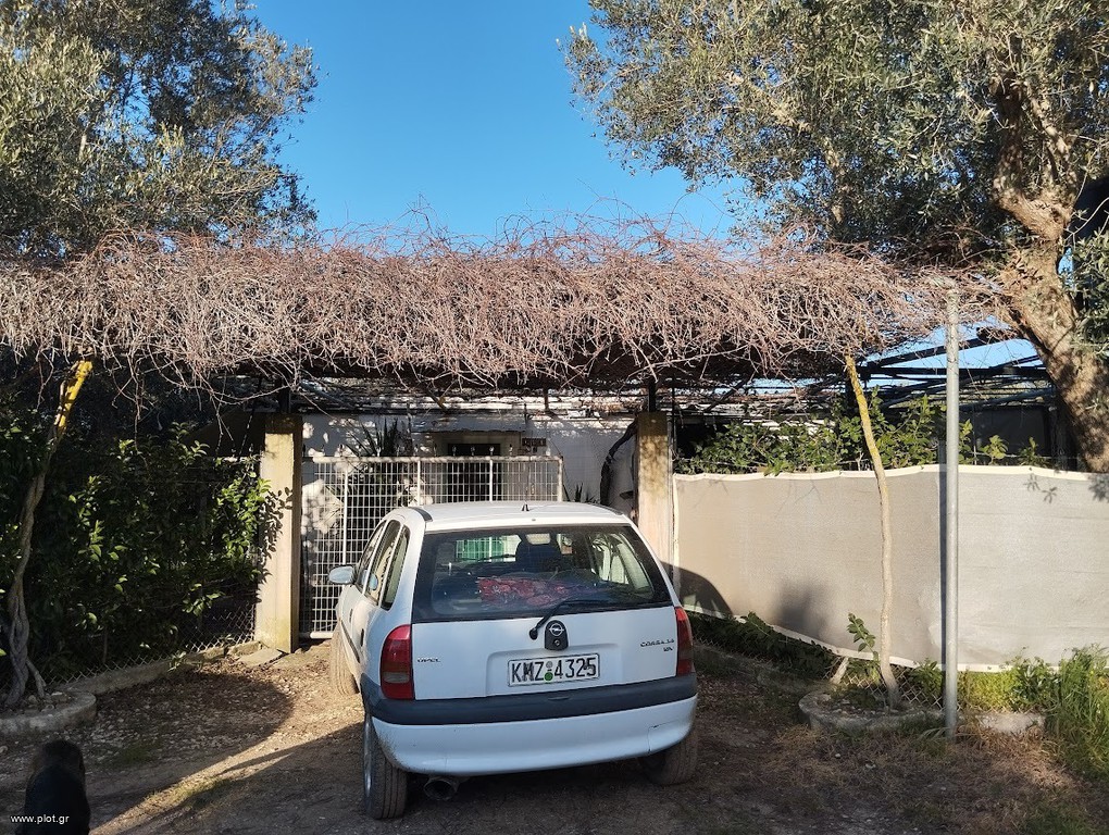 Αγροτεμάχια 7.153 τ.μ. προς πώληση, Πετροχώρι Νέστορα