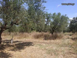 Αγροτεμάχια 1.350 τ.μ. για πώληση, Μεσσηνία, Νέστορας-thumb-6