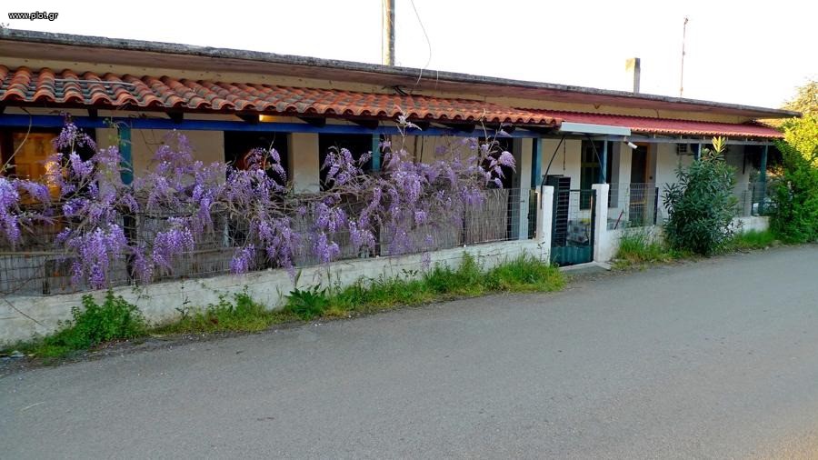 Μονοκατοικία 803 τ.μ. προς πώληση, Κήρινθος