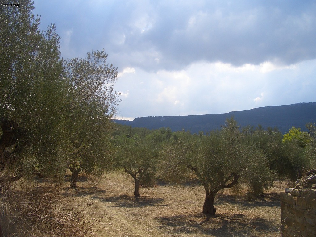 Οικόπεδο 4.200 τ.μ. προς πώληση, Γιάλοβα