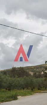 Land plot 1.318sqm for sale-Moires » Kappariana