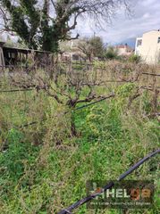 Οικόπεδο 650 τ.μ. για πώληση, Αχαΐα, Ρίο-thumb-17