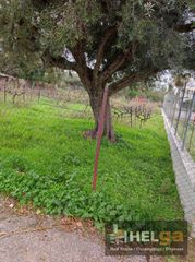 Οικόπεδο 650 τ.μ. για πώληση, Αχαΐα, Ρίο-thumb-7