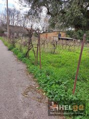 Οικόπεδο 650 τ.μ. για πώληση, Αχαΐα, Ρίο-thumb-23