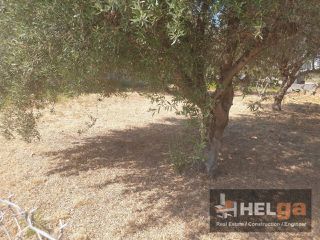 Οικόπεδο 429 τ.μ. για πώληση