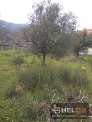 Οικόπεδο 620 τ.μ. για πώληση