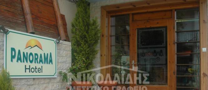 Ξενοδοχείο 480 τ.μ. πρός πώληση, Ν. Σερρών, Κερκίνη