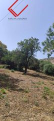 Land plot 1.000 sqm for sale