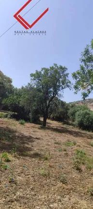 Land plot 1.000 sqm for sale, Rest Of Attica, Kalivia Thorikou