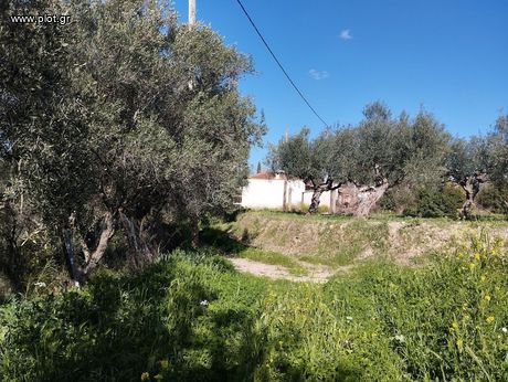 Οικόπεδο 9.000τ.μ. για πώληση-Νέστορας » Κορυφάσιο