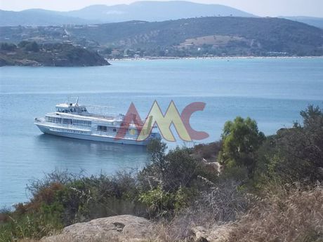Μεζονέτα 120τ.μ. για πώληση-Σιθωνία » Ελιά