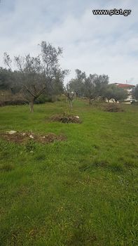 Οικόπεδο 1.100τ.μ. για πώληση-Ηγουμενίτσα » Μαυρούδι
