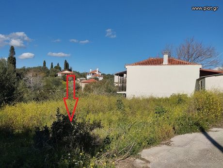 Οικόπεδο 700τ.μ. για πώληση-Νέστορας » Κορυφάσιο
