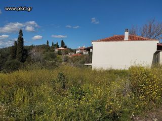 Οικόπεδο 700 τ.μ. για πώληση, Μεσσηνία, Νέστορας-thumb-2