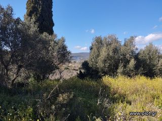Οικόπεδο 700 τ.μ. για πώληση, Μεσσηνία, Νέστορας-thumb-3