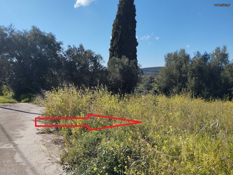 Οικόπεδο 700 τ.μ. προς πώληση, Κορυφάσιο