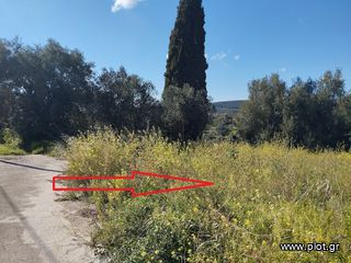 Οικόπεδο 700 τ.μ. για πώληση, Μεσσηνία, Νέστορας-thumb-4