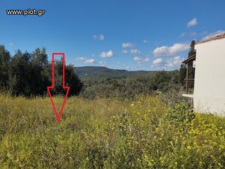 Οικόπεδο 700 τ.μ. για πώληση, Μεσσηνία, Νέστορας-thumb-6