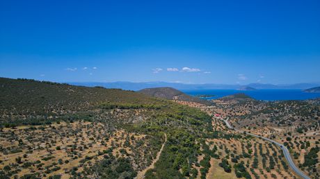 Αγροτεμάχια 8.094 τ.μ. για πώληση