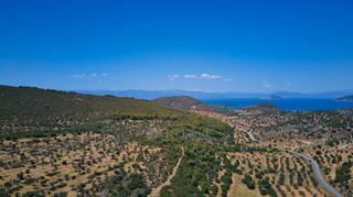 Αγροτεμάχια 8.094 τ.μ. για πώληση