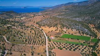 Αγροτεμάχια 4.200 τ.μ. για πώληση