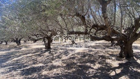 Land plot 2.111sqm for sale-Ierapetra » Ferma