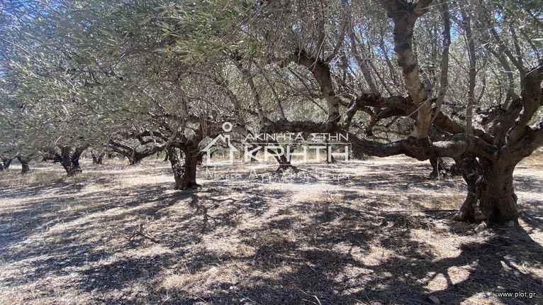 Οικόπεδο 2.111 τ.μ. για πώληση, Ν. Λασιθίου, Ιεράπετρα