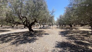 Οικόπεδο 2.111 τ.μ. για πώληση, Ν. Λασιθίου, Ιεράπετρα-thumb-1