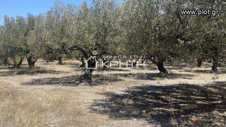 Οικόπεδο 2.111 τ.μ. για πώληση, Ν. Λασιθίου, Ιεράπετρα-thumb-2