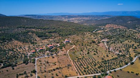 Αγροτεμάχια 4.086τ.μ. για πώληση-Κρανίδι » Φούρνοι