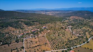 Αγροτεμάχια 4.086 τ.μ. για πώληση