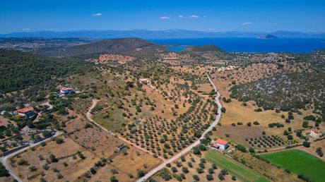Αγροτεμάχια 4.008τ.μ. για πώληση-Κρανίδι » Φούρνοι