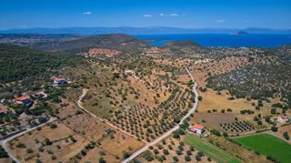 Αγροτεμάχια 4.008 τ.μ. για πώληση