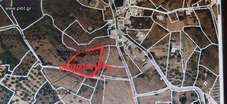 Αγροτεμάχια 2.700 τ.μ. για πώληση