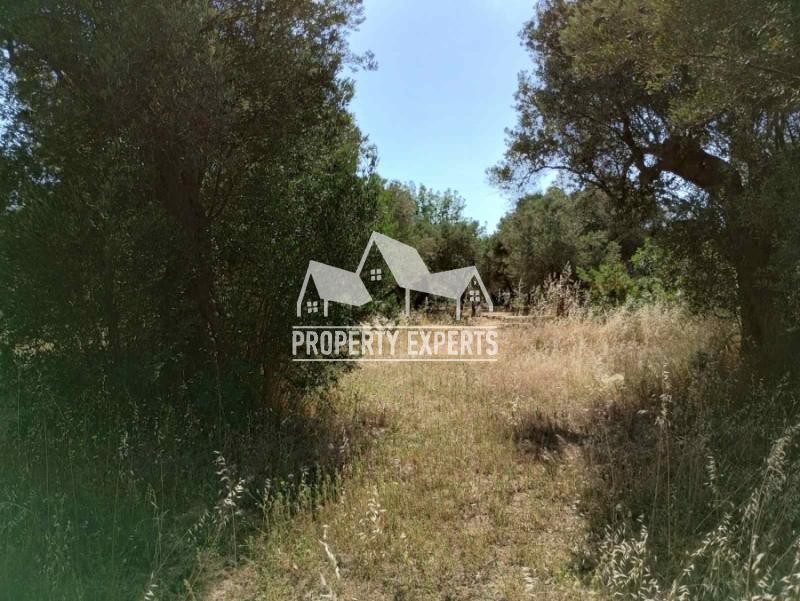 Αγροτεμάχια 814 τ.μ. προς πώληση, Μάκρη Αλεξανδρούπολης