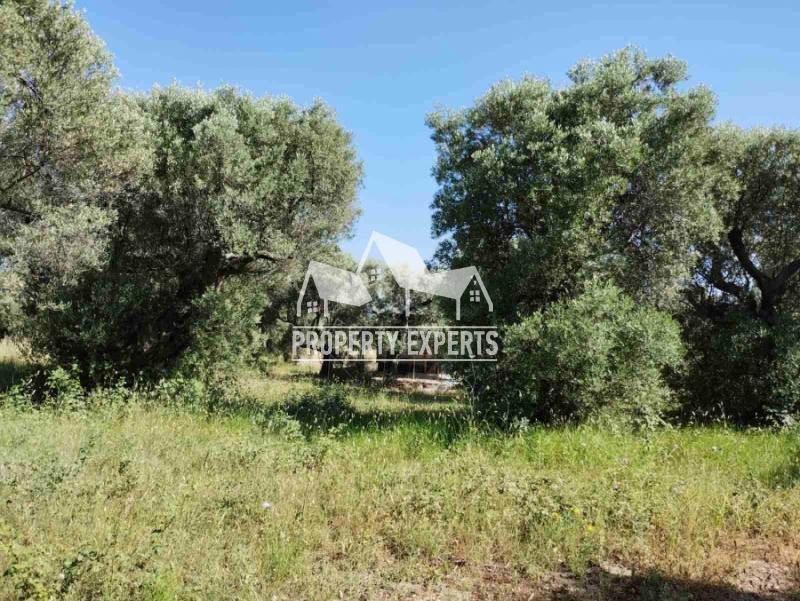 Αγροτεμάχια 814 τ.μ. προς πώληση, Μάκρη Αλεξανδρούπολης