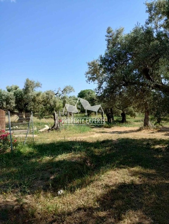Αγροτεμάχια 814 τ.μ. προς πώληση, Μάκρη Αλεξανδρούπολης
