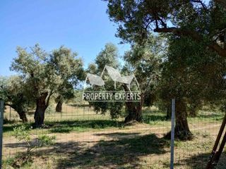 Αγροτεμάχια 814 τ.μ. για πώληση